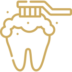 Dental Cleaning Procedure